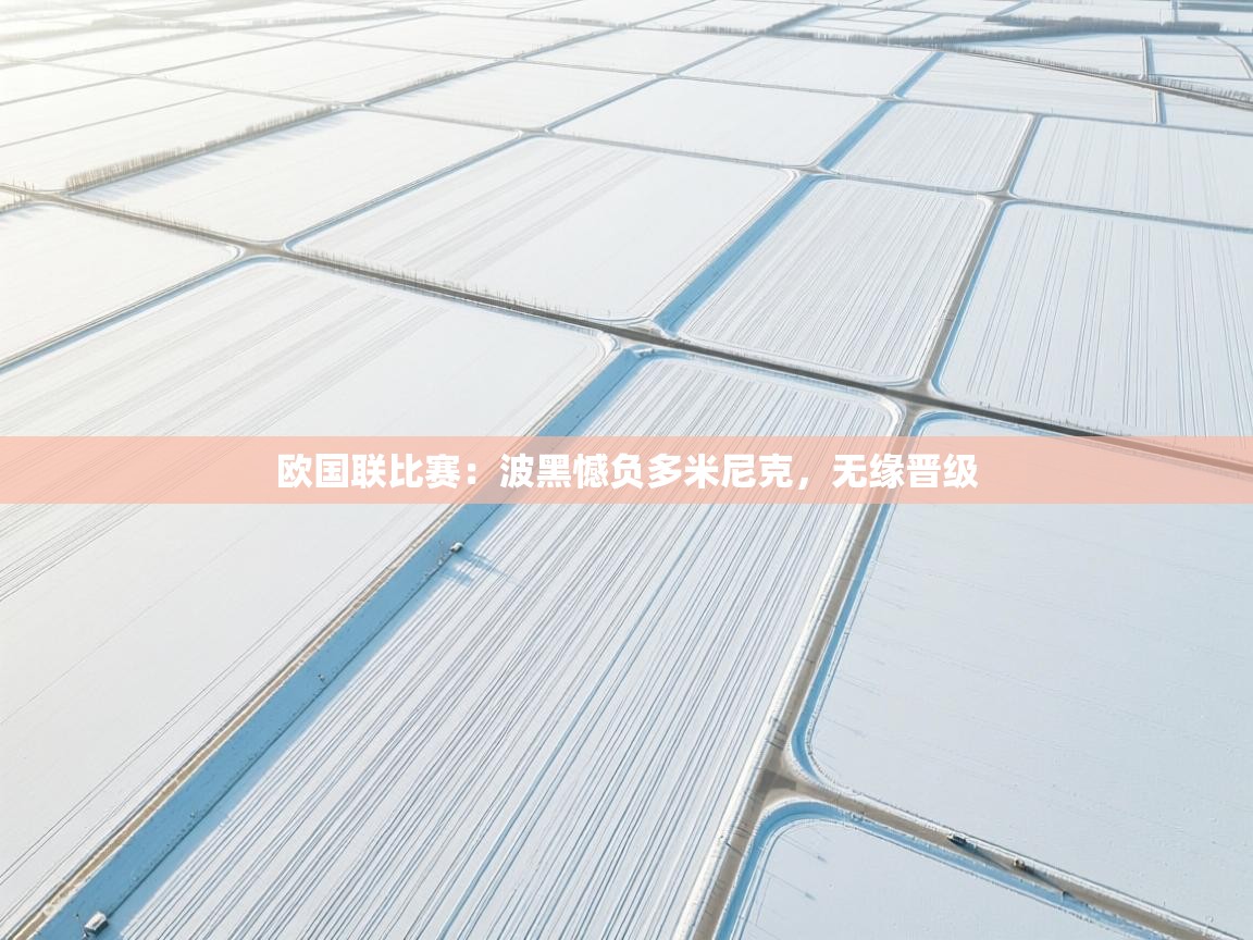 欧国联比赛：波黑憾负多米尼克，无缘晋级