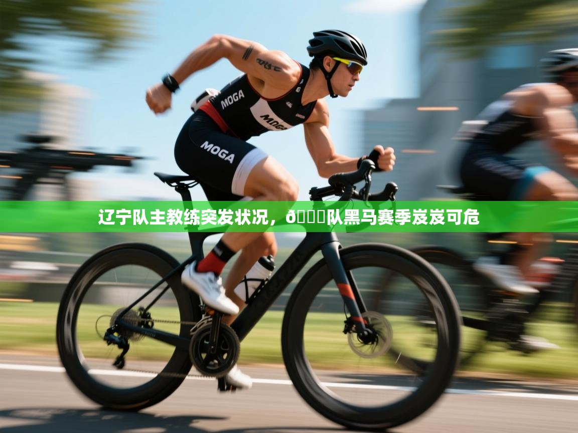 辽宁队主教练突发状况，🅞队黑马赛季岌岌可危