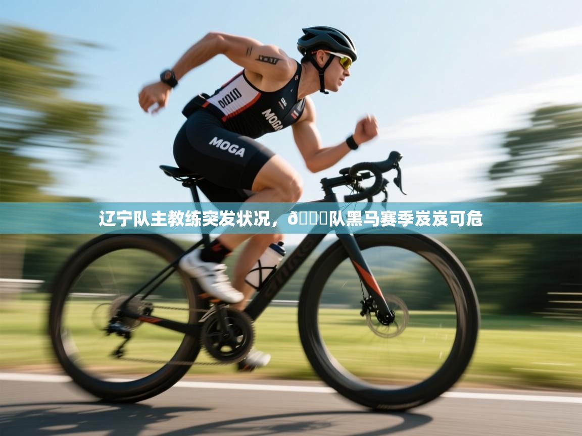 辽宁队主教练突发状况，🅞队黑马赛季岌岌可危