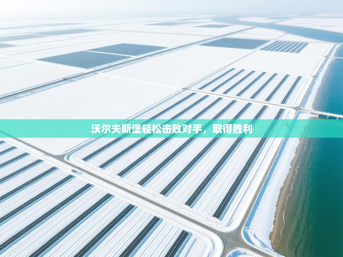 沃尔夫斯堡轻松击败对手,取得胜利 第1张