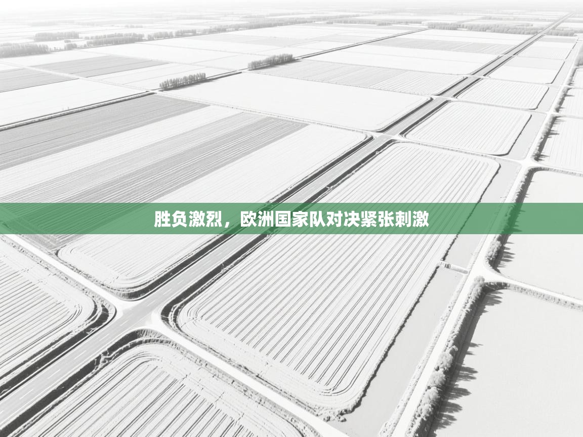 胜负激烈，欧洲国家队对决紧张刺激