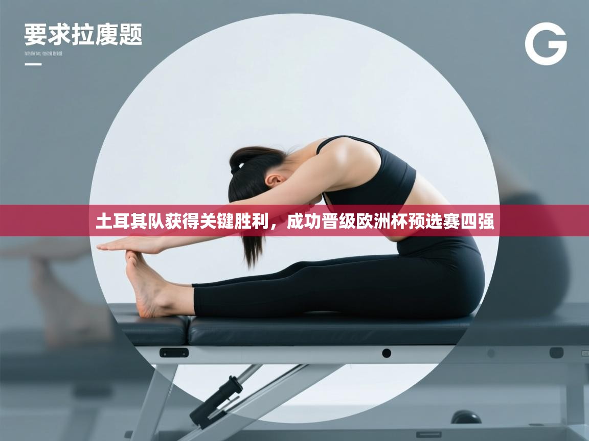 土耳其队获得关键胜利，成功晋级欧洲杯预选赛四强