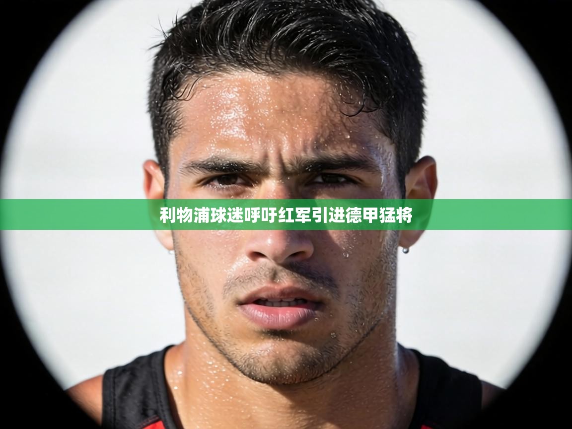 利物浦球迷呼吁红军引进德甲猛将  第1张