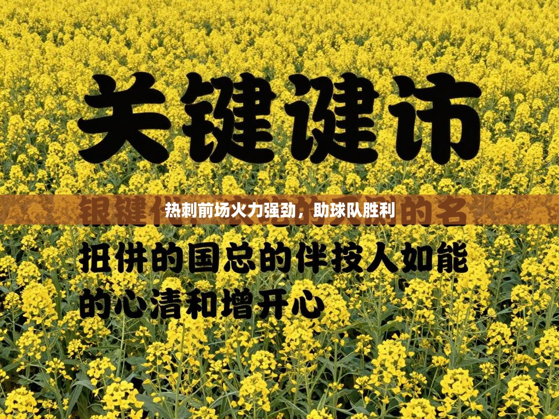 热刺前场火力强劲,助球队胜利 第2张
