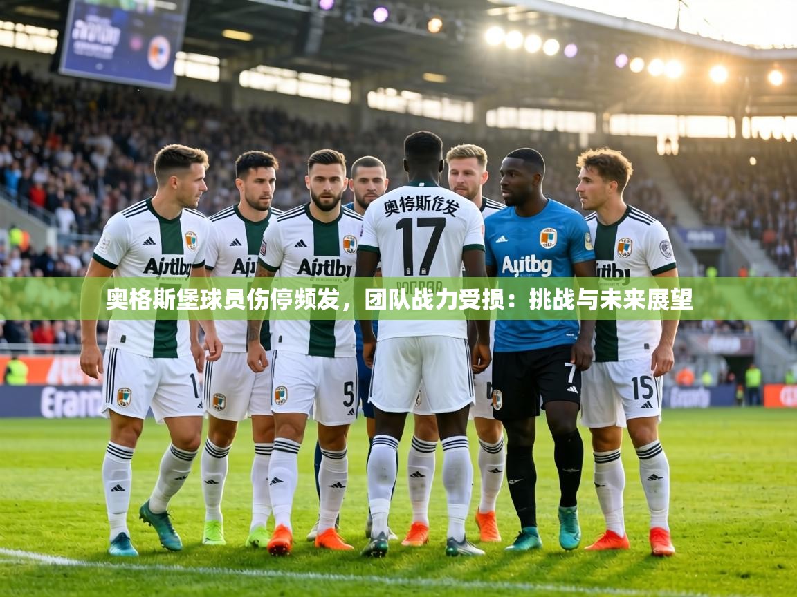 奥格斯堡球员伤停频发,团队战力受损:挑战与未来展望 第1张