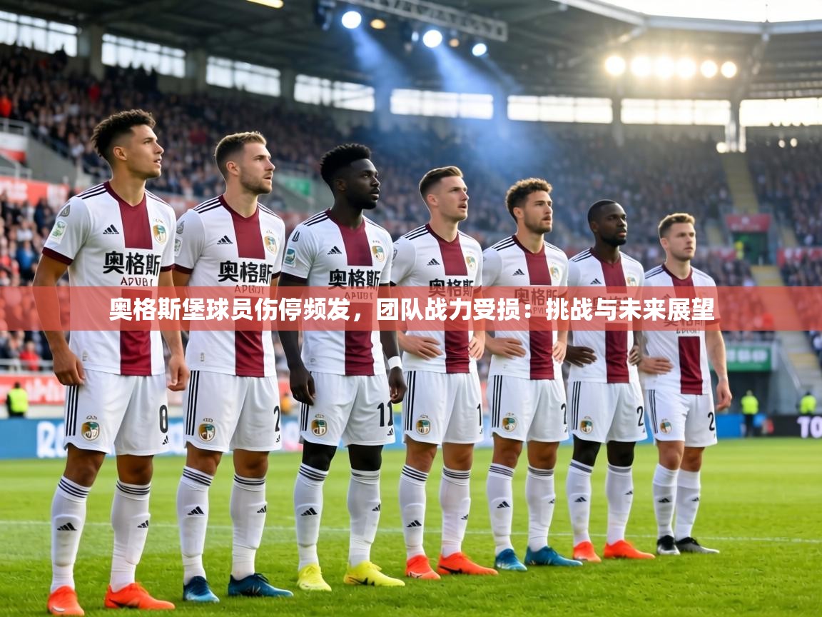 奥格斯堡球员伤停频发,团队战力受损:挑战与未来展望 第2张