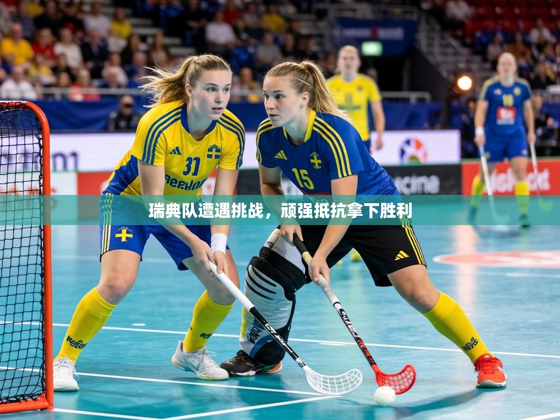 瑞典队遭遇挑战，顽强抵抗拿下胜利  第1张
