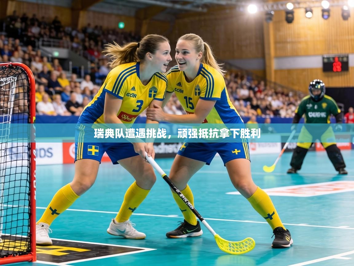 瑞典队遭遇挑战，顽强抵抗拿下胜利  第2张