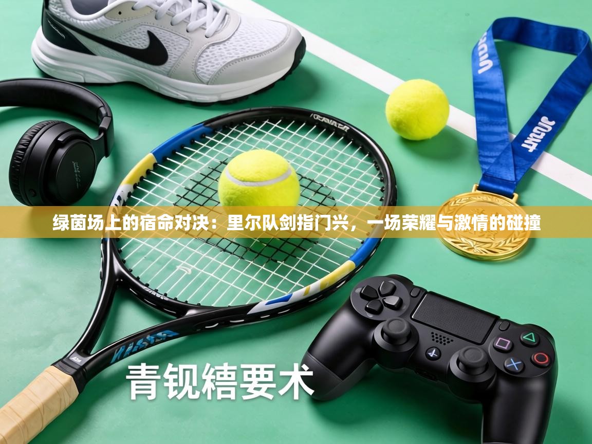 绿茵场上的宿命对决:里尔队剑指门兴,一场荣耀与激情的碰撞 第1张